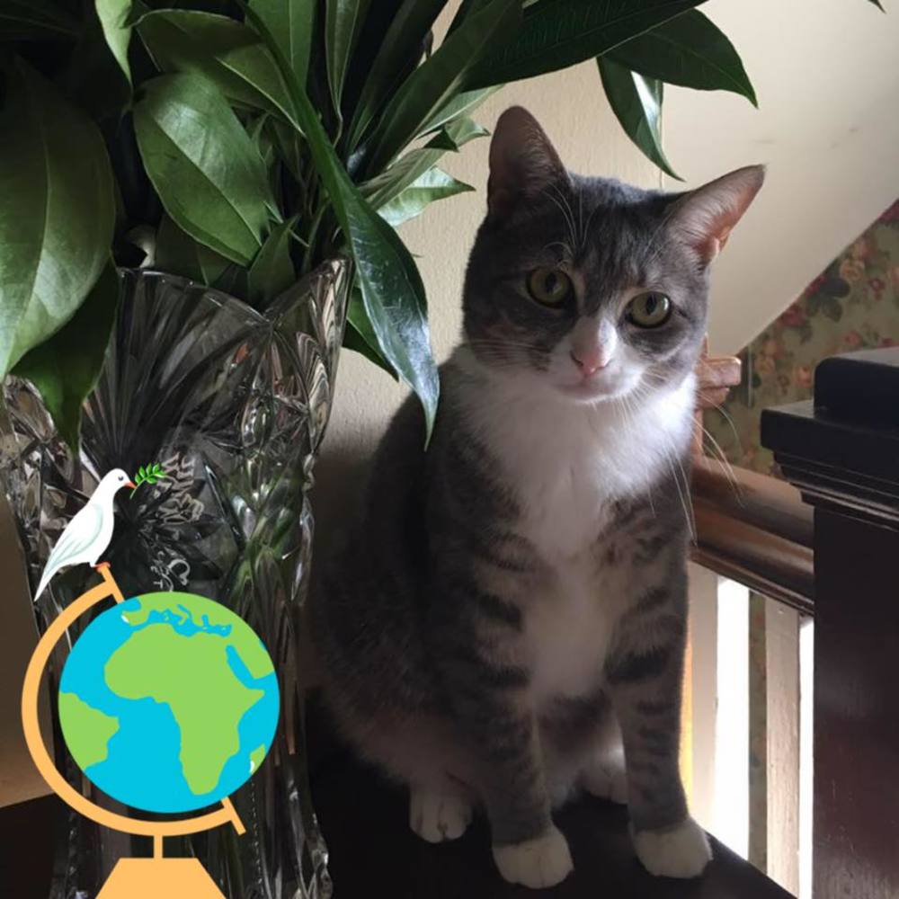 Meet your Posher, Debra